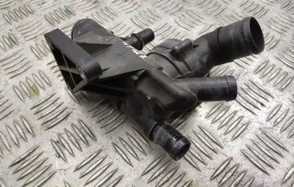 Thermostat/thermostat housing