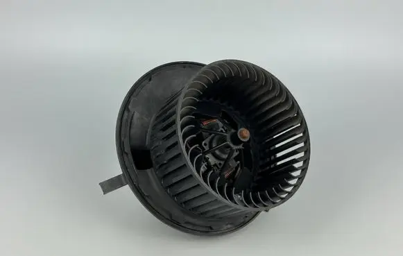 Mercedes-Benz A W169 Heater fan/blower A1698200642 982485P 0131728