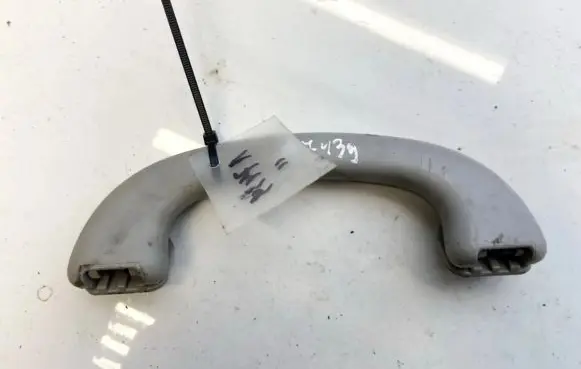 Ford Focus Front interior roof grab handle