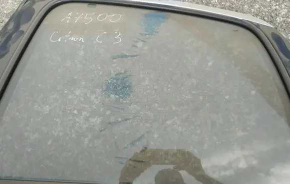 Rear door window glass
