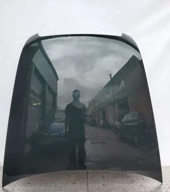Engine bonnet/hood