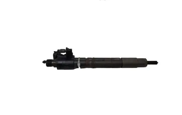 Jaguar XF X250 Fuel injector 0455116013