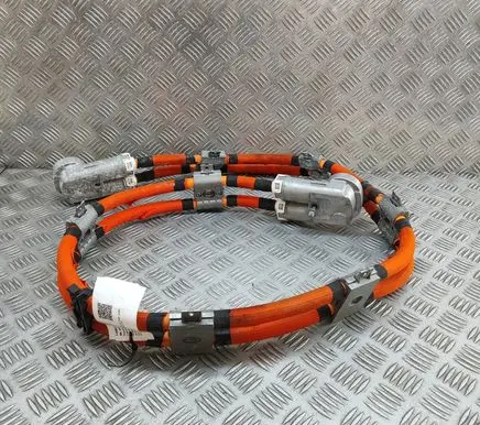 Mercedes-Benz EQE v295 Other wiring loom A2955407106