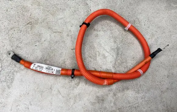 Nissan Leaf I (ZE0) Other wiring loom 295G03NA1B 1205140145