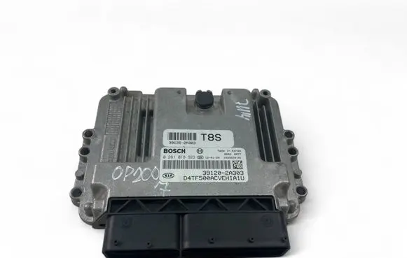 Engine control unit/module ECU