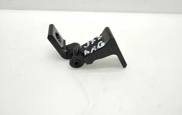 Rear door lower hinge