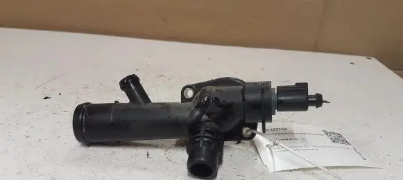 Thermostat/thermostat housing