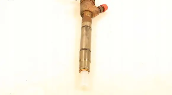 Hyundai i30 Fuel injector 0445110320