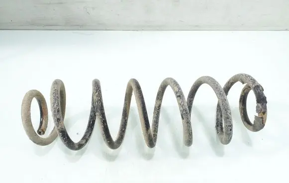 Rear coil spring