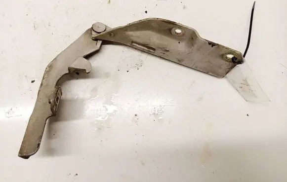 Nissan Almera Tino Engine bonnet/hood hinges 