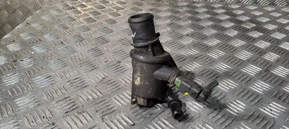 Thermostat/thermostat housing