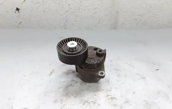 Mercedes-Benz Sprinter W906 Generator/alternator belt tensioner F231071