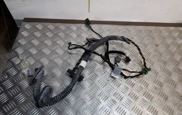 Porsche Panamera (970) Rear door wiring loom 97061263700