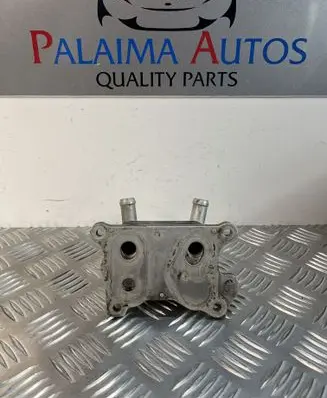 Nissan Juke I F15 Engine oil radiator 213052032R