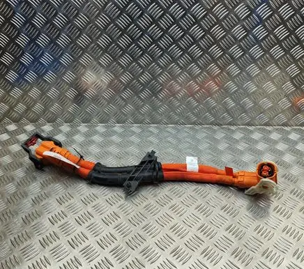 Porsche Taycan 9J1 Other wiring loom 9J1971131A