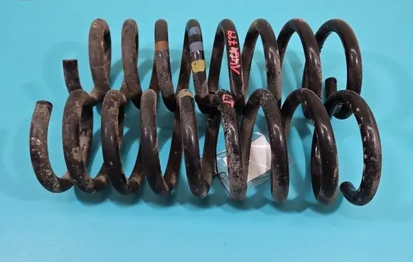 Rear coil spring