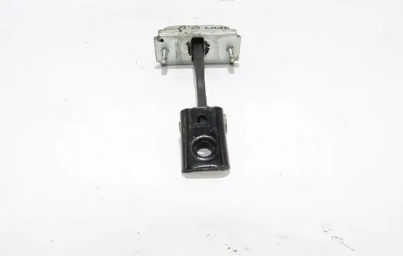 Ford Focus C-MAX Rear door check strap stopper