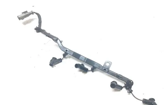 Peugeot 308 Fuel injector wires 