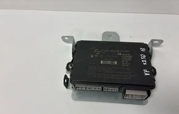 Jaguar XF X250 Keyless (KESSY) go control unit/module DPLA19H440BB