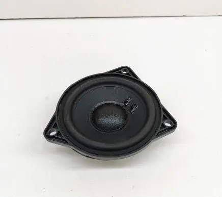 Rear door speaker