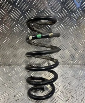 Rear coil spring