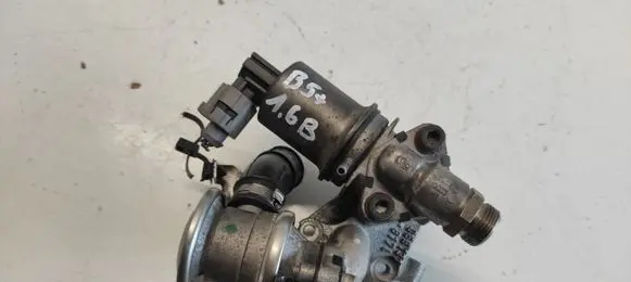 Volkswagen PASSAT B5.5 EGR valve 06B131817L 72256010