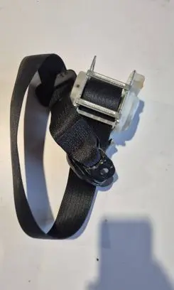 Dodge Charger Rear seatbelt