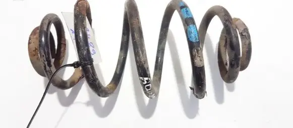 Volkswagen PASSAT B5 Rear coil spring