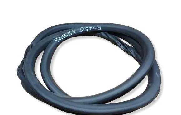Volkswagen PASSAT B7 Front door rubber seal 3C4867911B