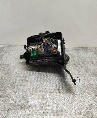 Citroen C4 I Picasso Fuse module 9650618480 166021199
