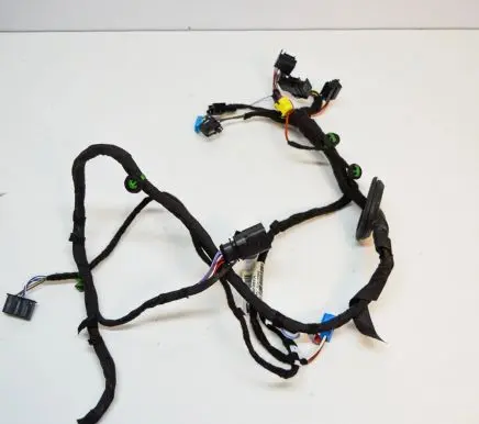 Front door wiring loom