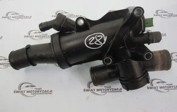 Thermostat/thermostat housing