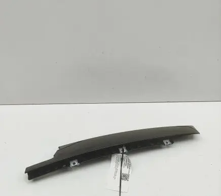 Renault Arkana Front door glass trim molding 802842451R