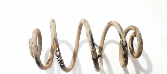 Opel Astra H Rear coil spring 