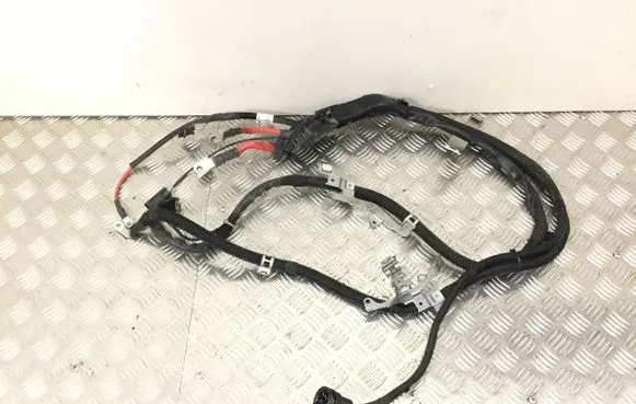 Mercedes-Benz S C217 Wires (starter motor) A2225400100