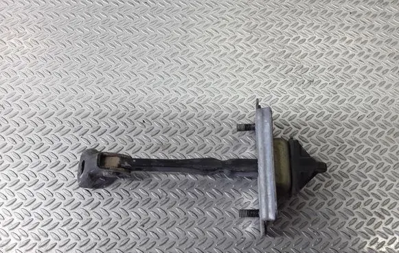 Rear door check strap stopper