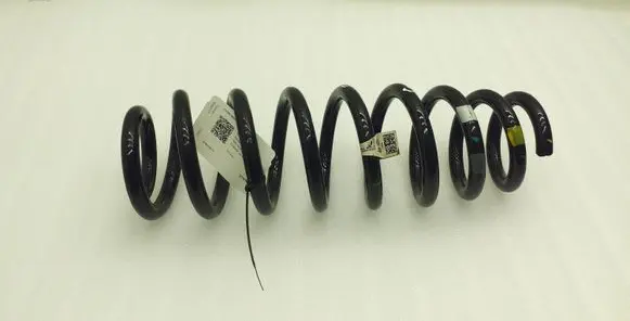 Hyundai Kona I Rear coil spring 55330K4000