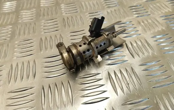 Citroen Berlingo AdBlue injector 9813930180 H216B04872