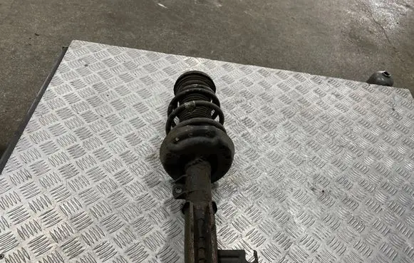 Opel Insignia A Front shock absorber/damper 13245977