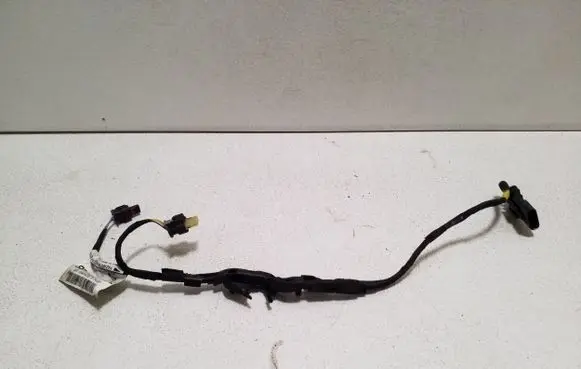Other wiring loom