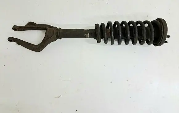 Honda Accord Front shock absorber with coil spring