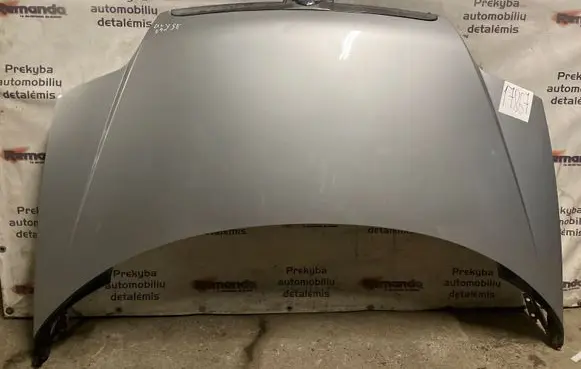 Fiat Ulysse Engine bonnet/hood