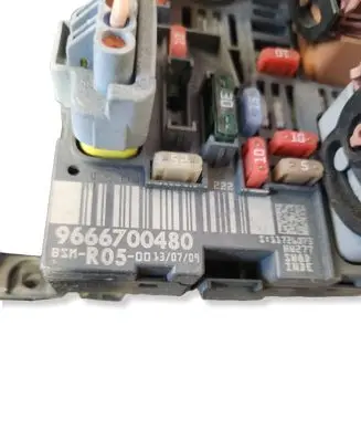 Peugeot 407 Fuse module 9666700480