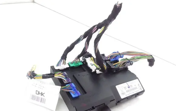 Ford Ecosport Door central lock control unit/module DN1T15K600JG 116RA000084 030086480401