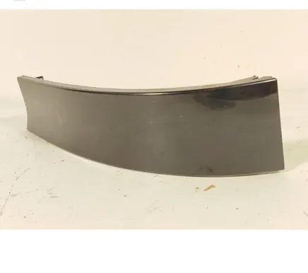 Rear/tail light trim molding