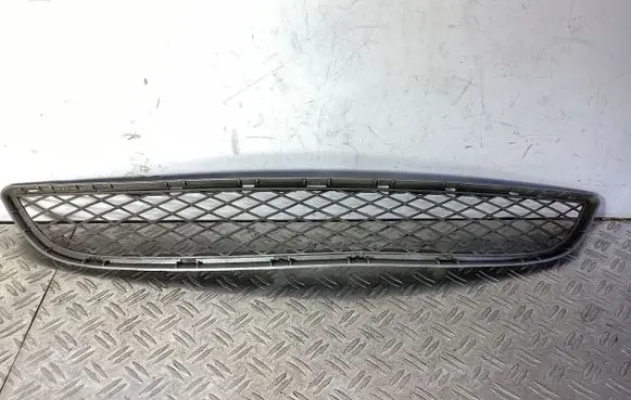 BMW X6 E71 Front bumper lower grill 51117176282