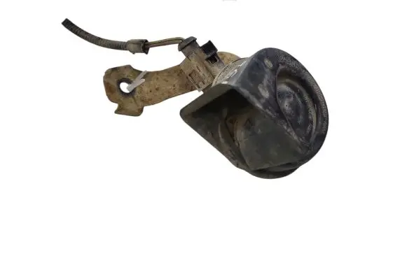 Horn signal