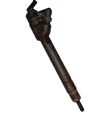 Mercedes-Benz E W211 Fuel injector 0445110079