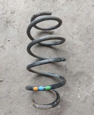 Volkswagen PASSAT B6 Rear coil spring