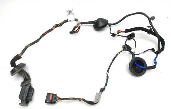 Rear door wiring loom